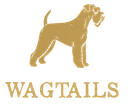 Wagtails